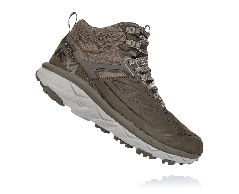 Billige Hoka Sko - Hoka Challenger Mid GORE-TEX Wide Dame Brune